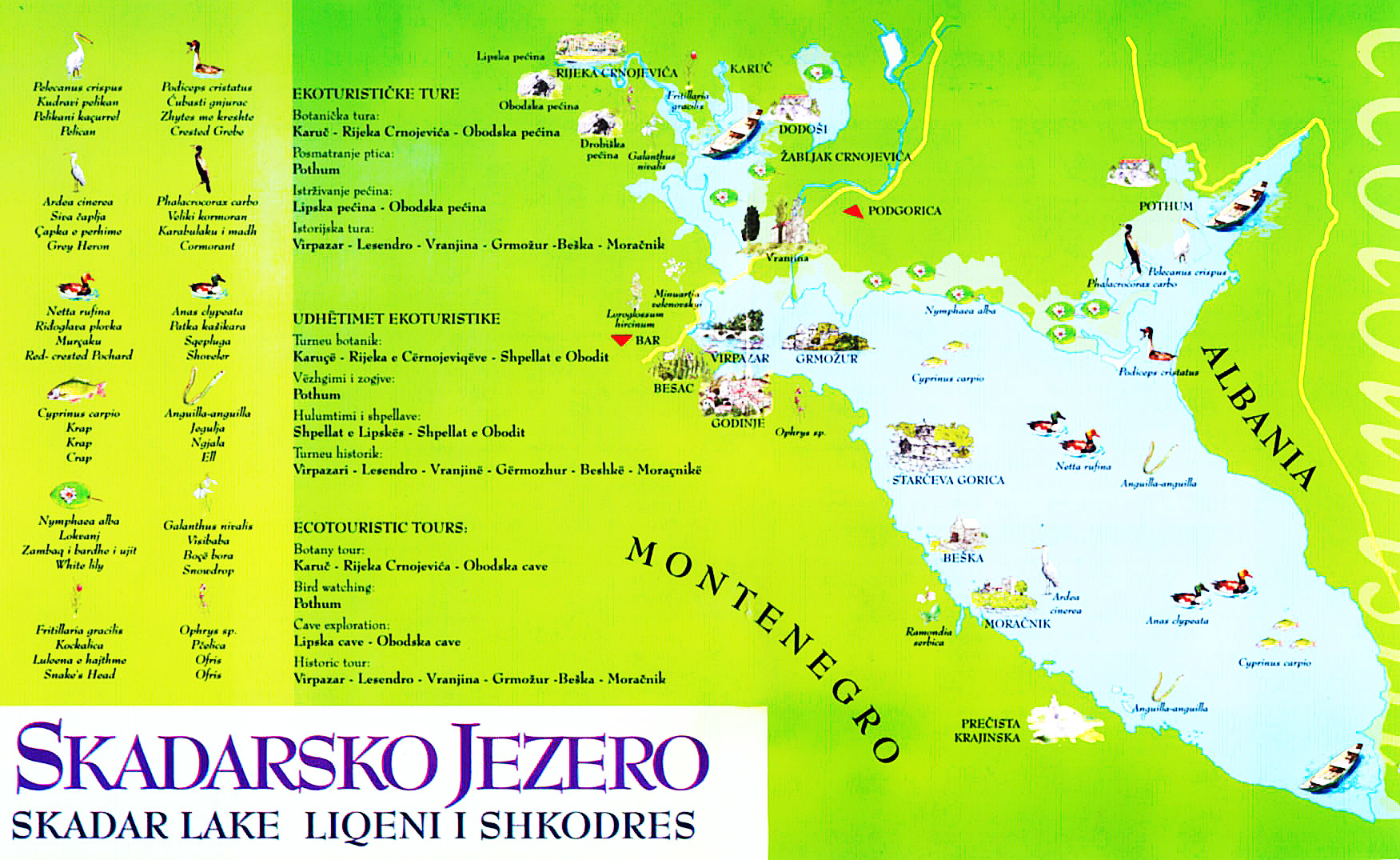 Skadarsko jezero mapa